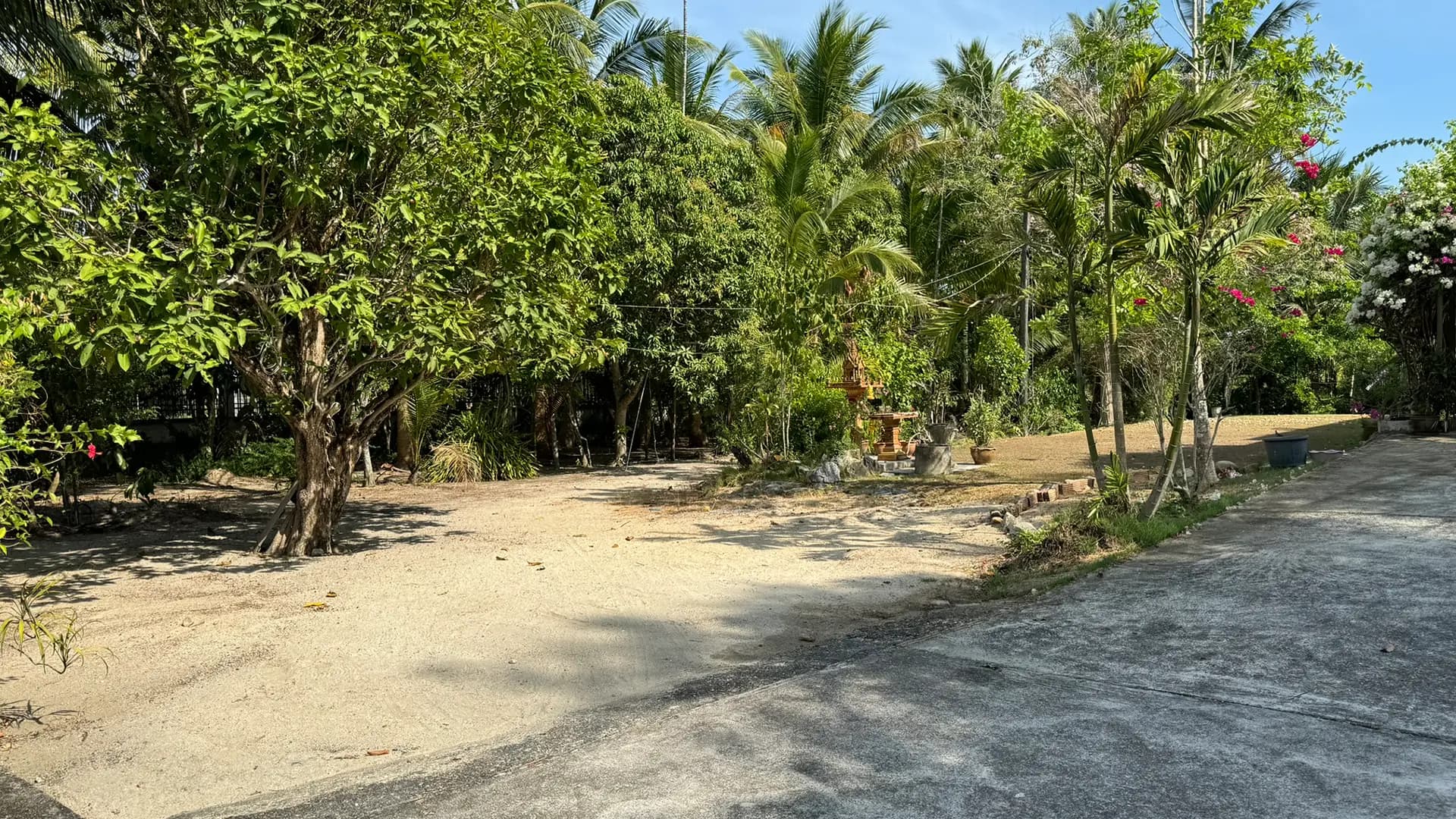 ขายที่ดิน 1 ไร่ ปากพูน นครศรีธรรมราช ทำเลดีติดถนน ใกล้ตลาดท่าแพ รูปที่ 2