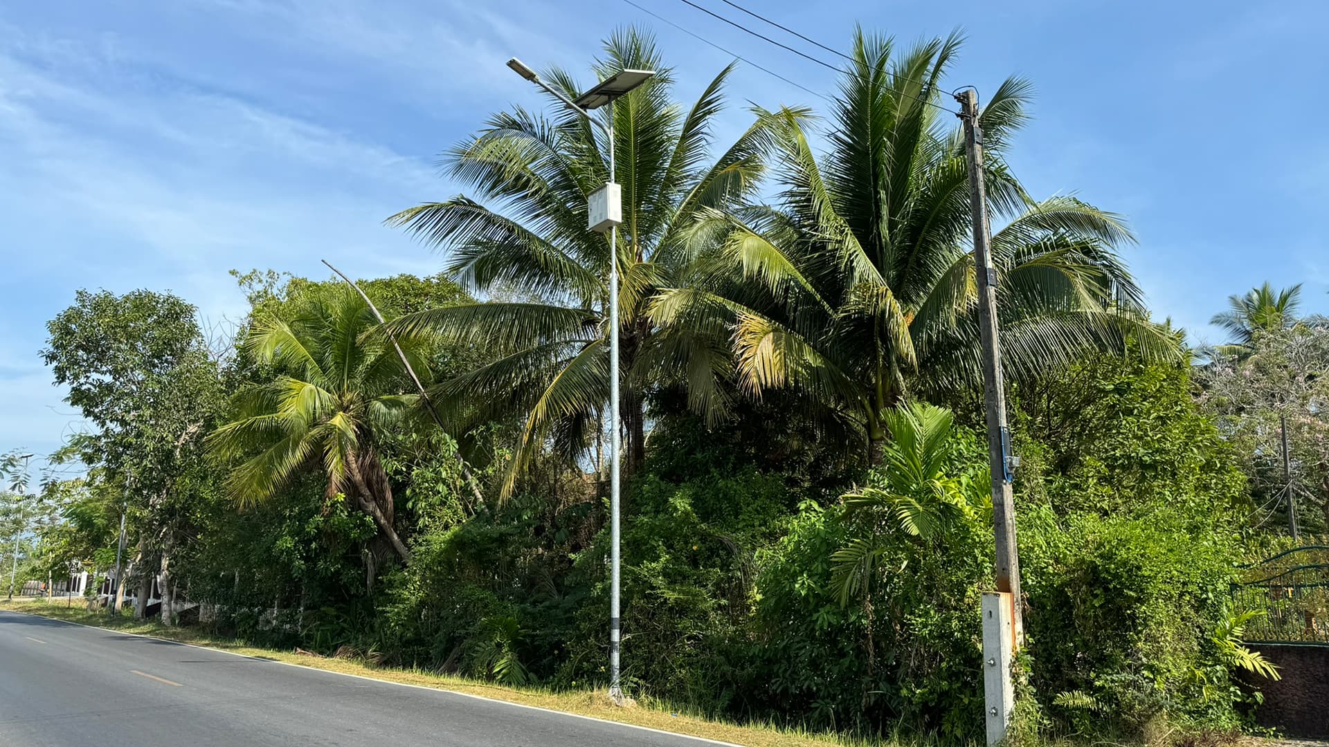 ขายที่ดิน 1 ไร่ ปากพูน นครศรีธรรมราช ทำเลดีติดถนน ใกล้ตลาดท่าแพ รูปที่ 6