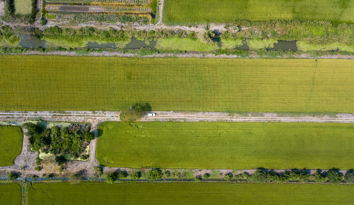 ขายที่ดิน 741 ตร.วา ไทรน้อย นนทบุรี 2 โฉนด ทำเลดี รูปที่ 6